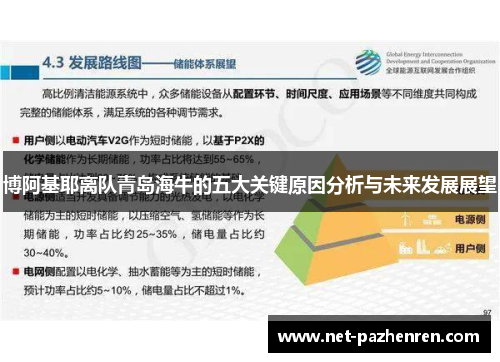 博阿基耶离队青岛海牛的五大关键原因分析与未来发展展望 博阿基耶离队青岛海牛的五大关键原因分析与未来发展展望