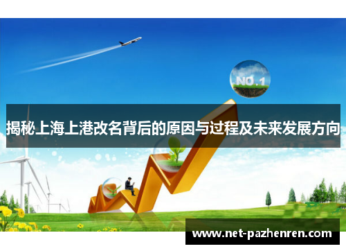 揭秘上海上港改名背后的原因与过程及未来发展方向 揭秘上海上港改名背后的原因与过程及未来发展方向